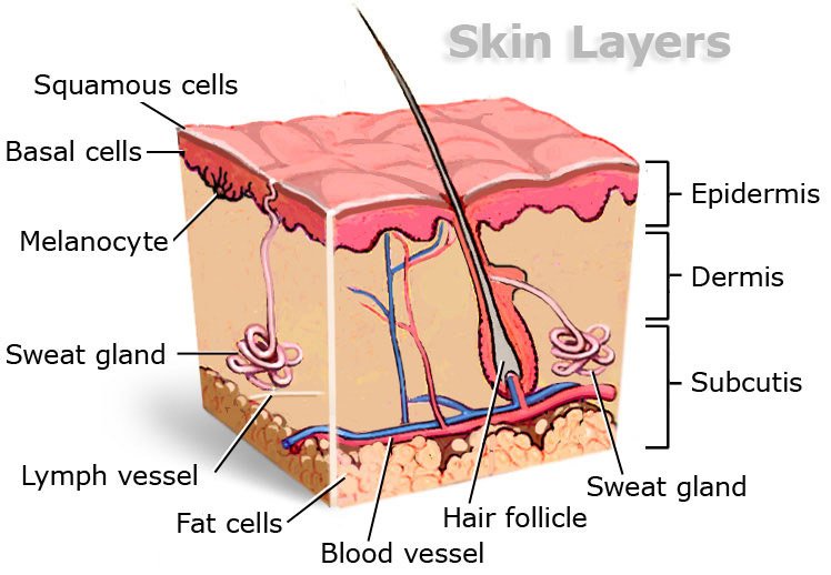 Skincare Techniques for Radiant Skin: Your Step-by-Step Guide